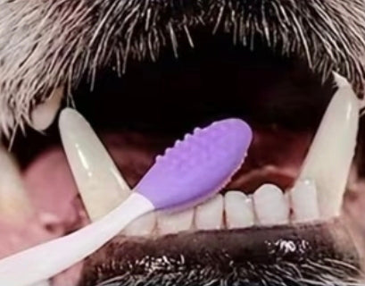 Cepillo Dental de Silicona para Perros