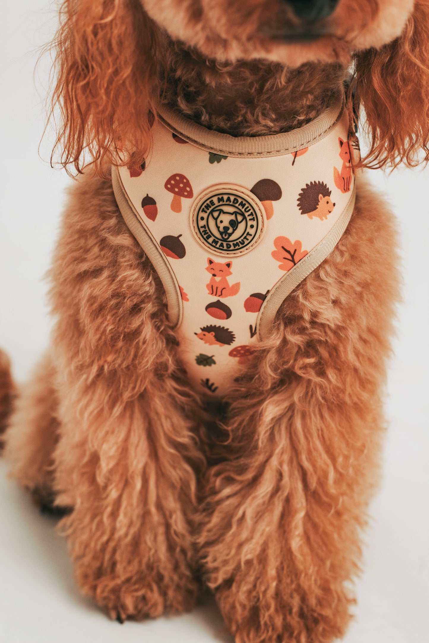 Arnés ajustable Little Fox 🦊