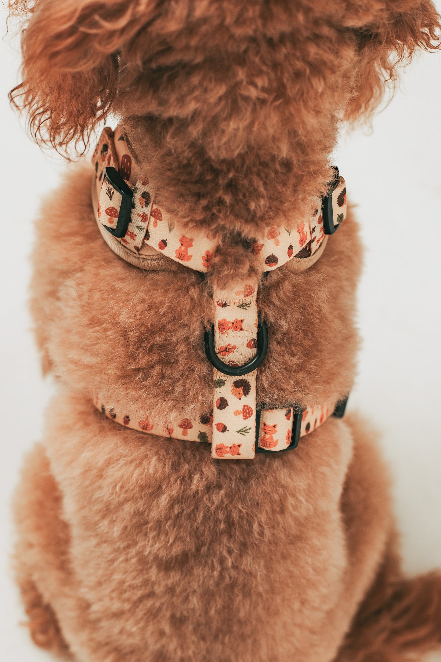Arnés ajustable Little Fox 🦊