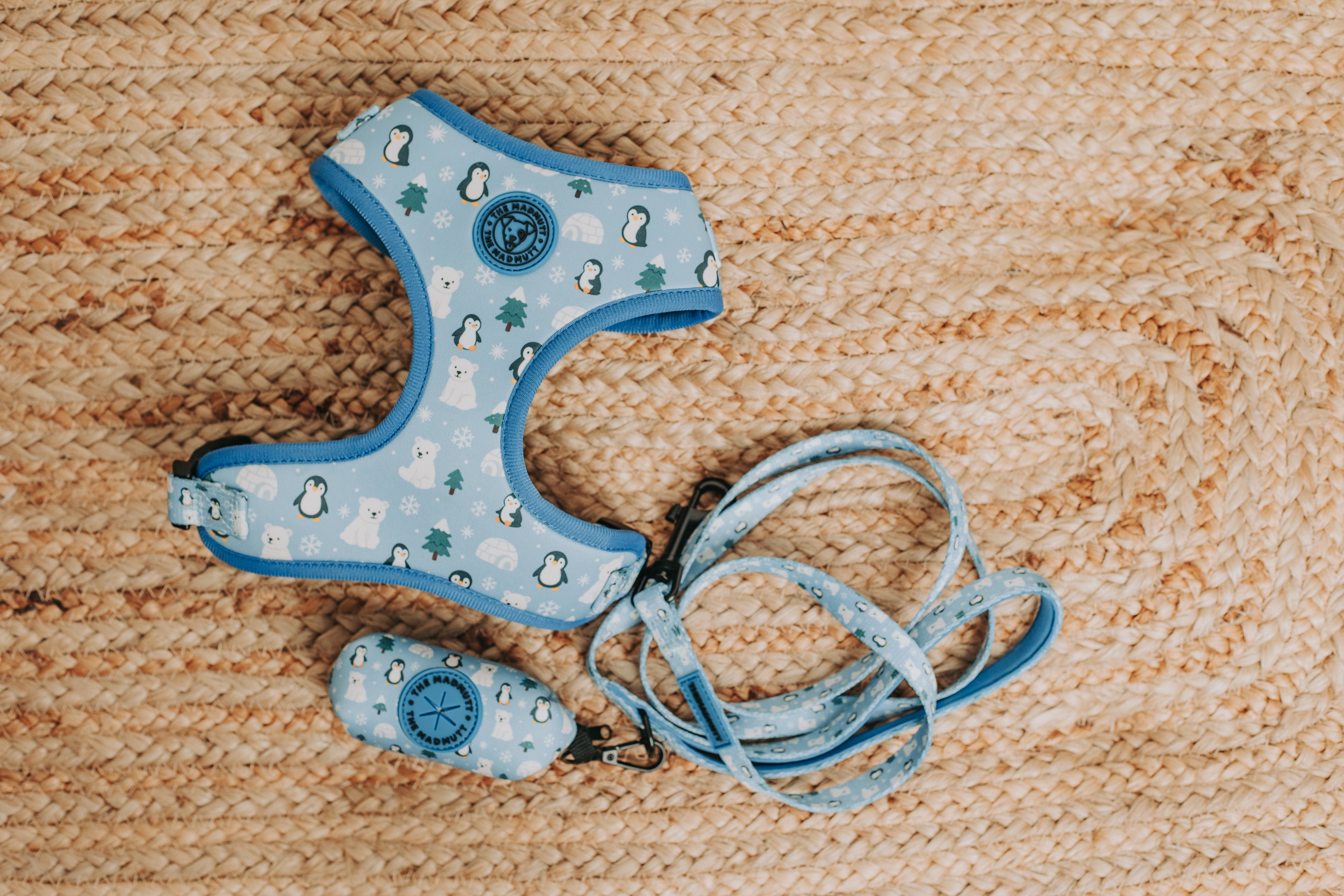 Porta bolsas caca Polar Vibes ❄️💙