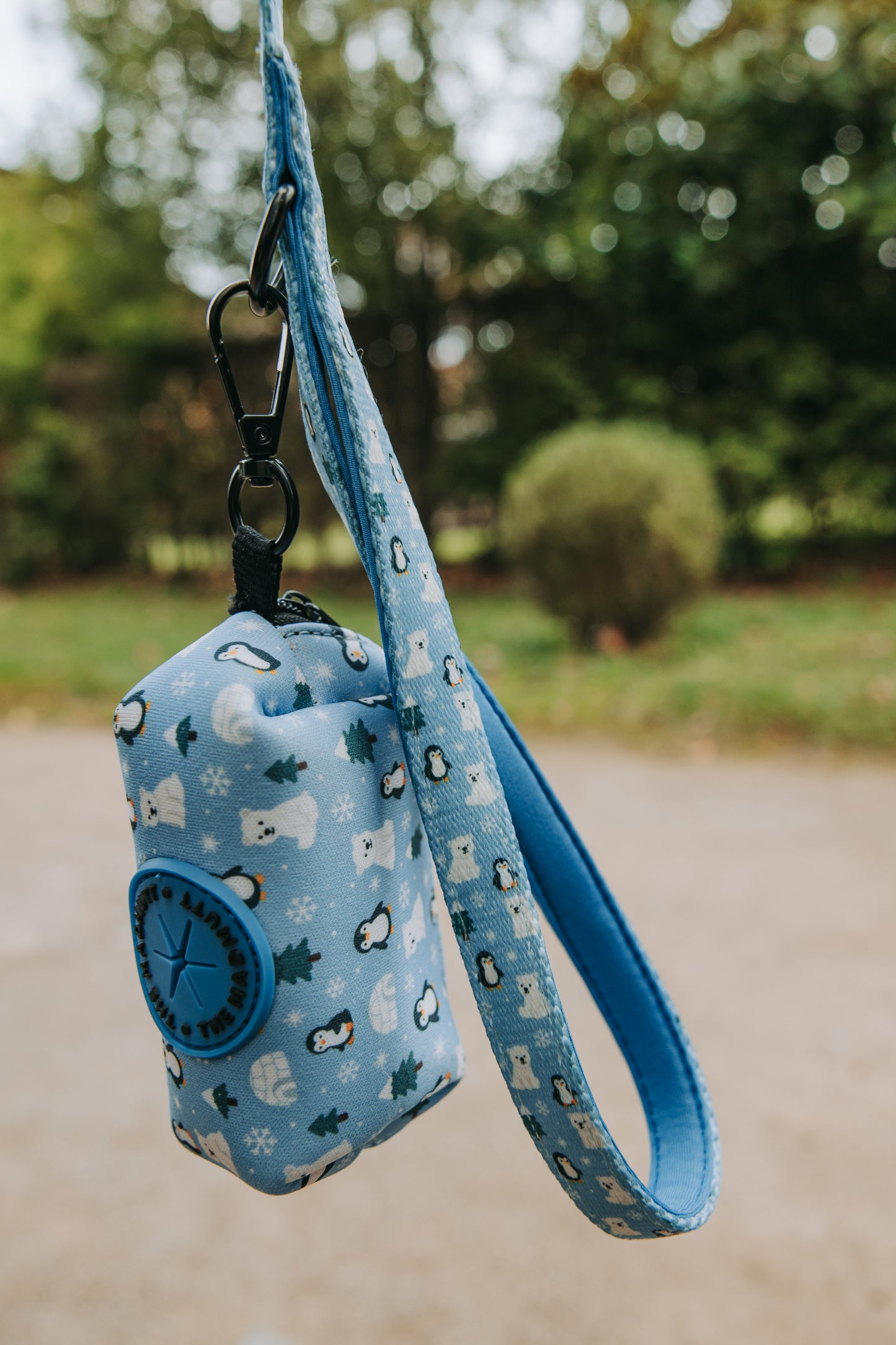 Correa Polar Vibes ❄️💙