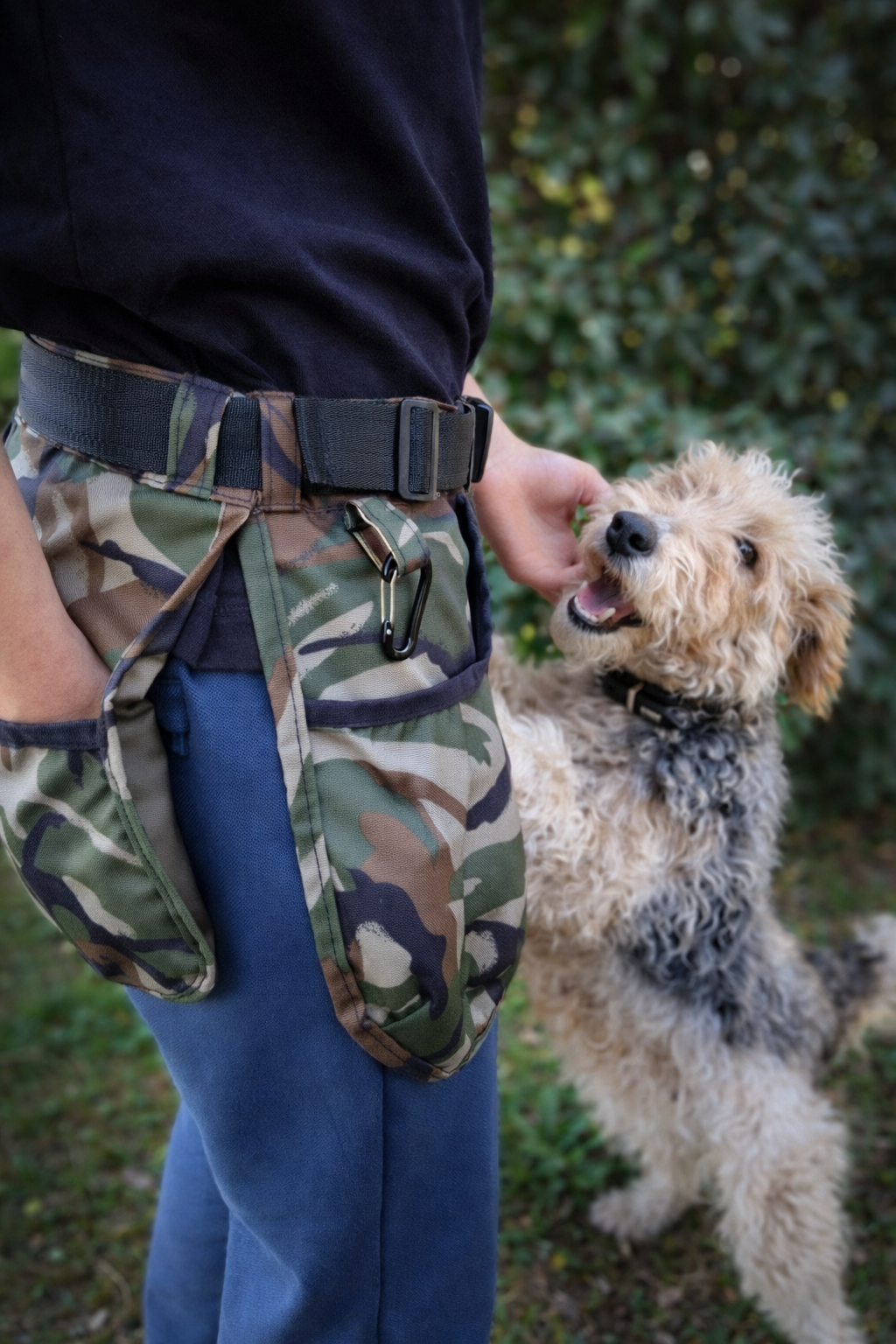 Cinturón de Adiestramiento Canino