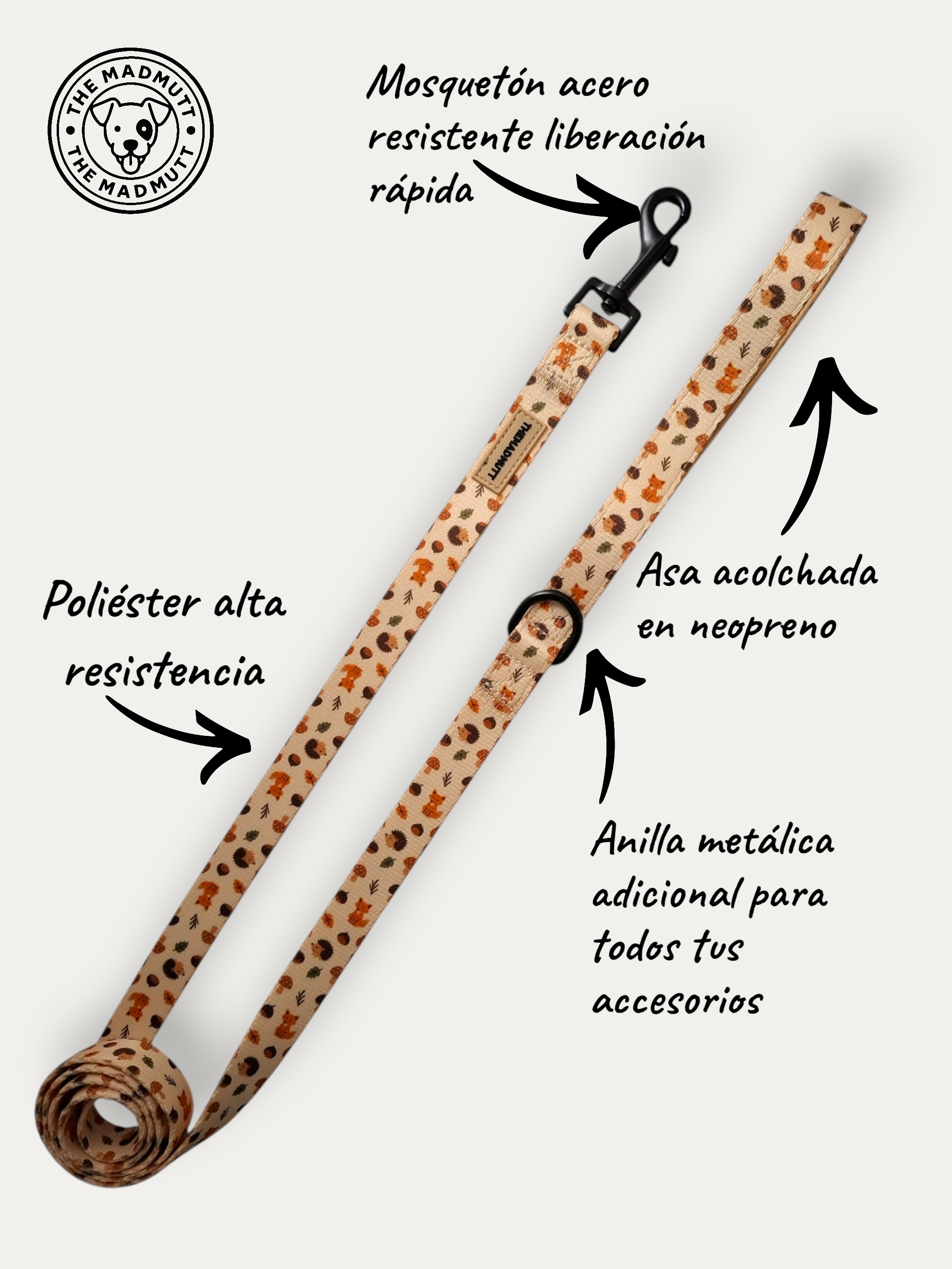 Correa Little Fox 🦊