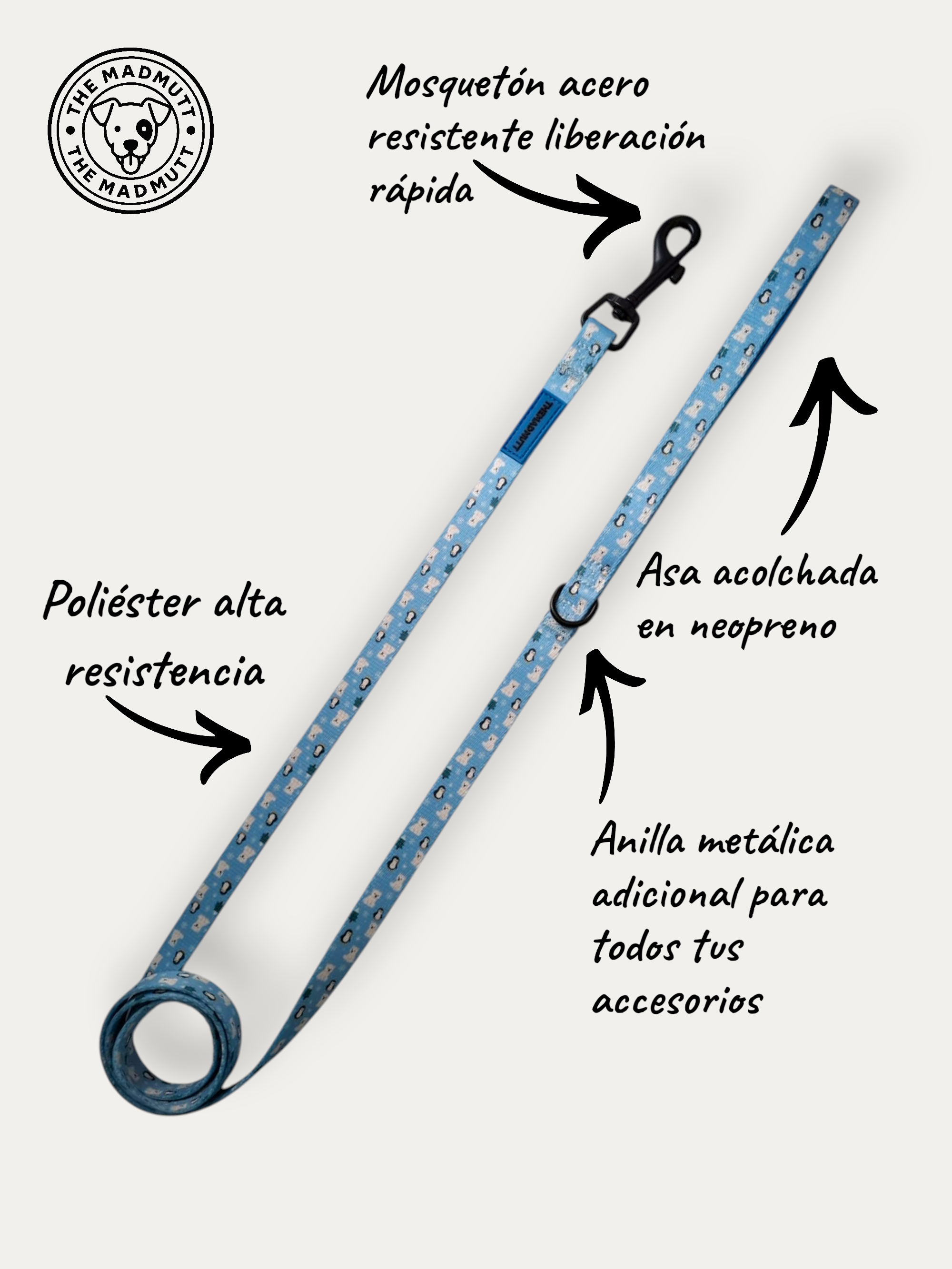 Correa Polar Vibes ❄️💙