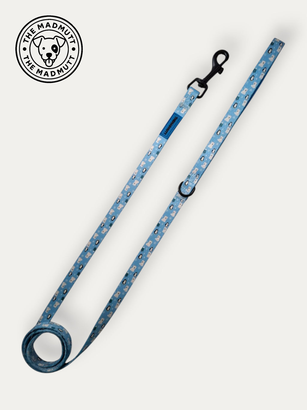 Correa Polar Vibes ❄️💙