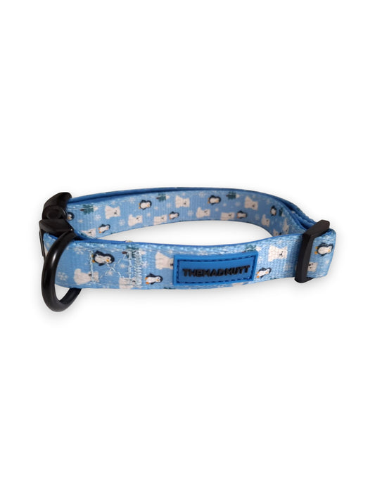 Collar Polar Vibes ❄️💙