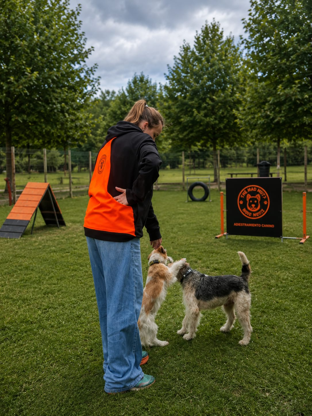 Sudadera de entrenamientos perros Working Dog